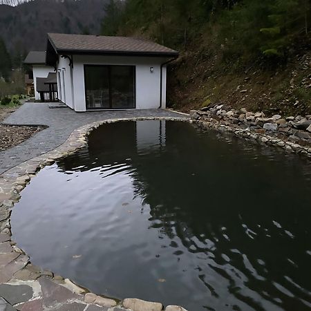 Котедж Грабовець Mizhhirya (Transcarpathia) Buitenkant foto