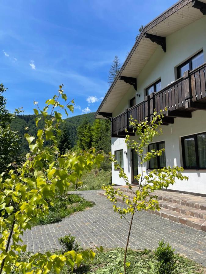 Cottage house Mizhhirya  Buitenkant foto