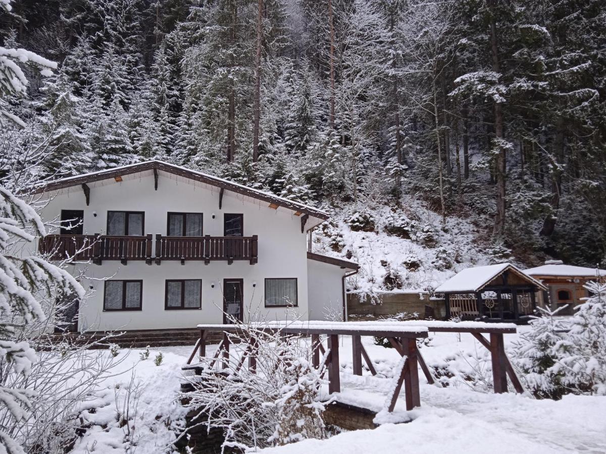 Котедж Грабовець Mizhhirya (Transcarpathia) Buitenkant foto