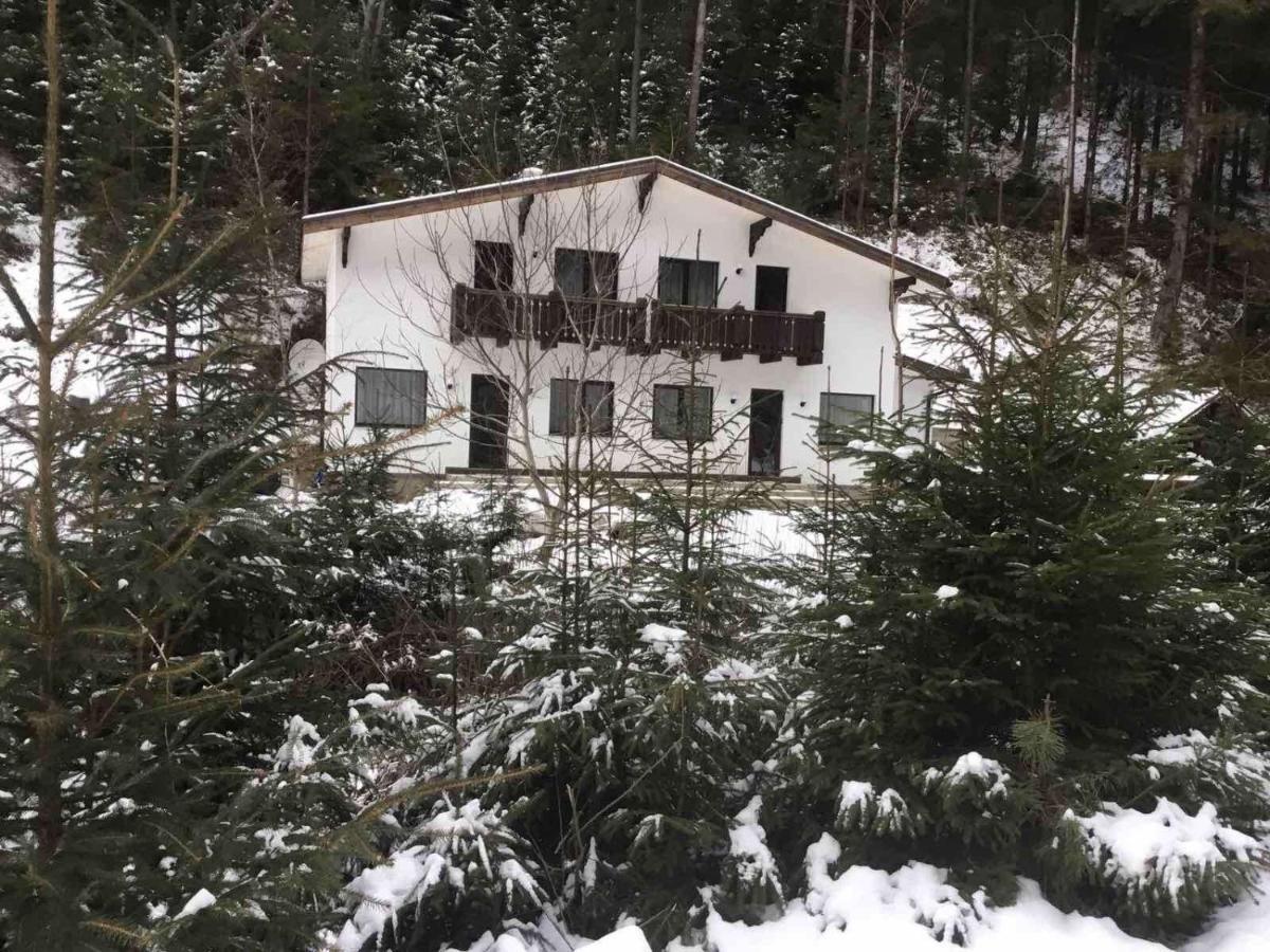 Cottage house Mizhhirya  Buitenkant foto