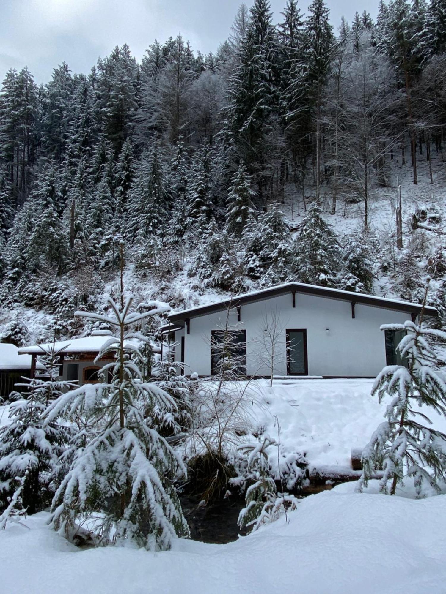 Cottage house Mizhhirya  Buitenkant foto