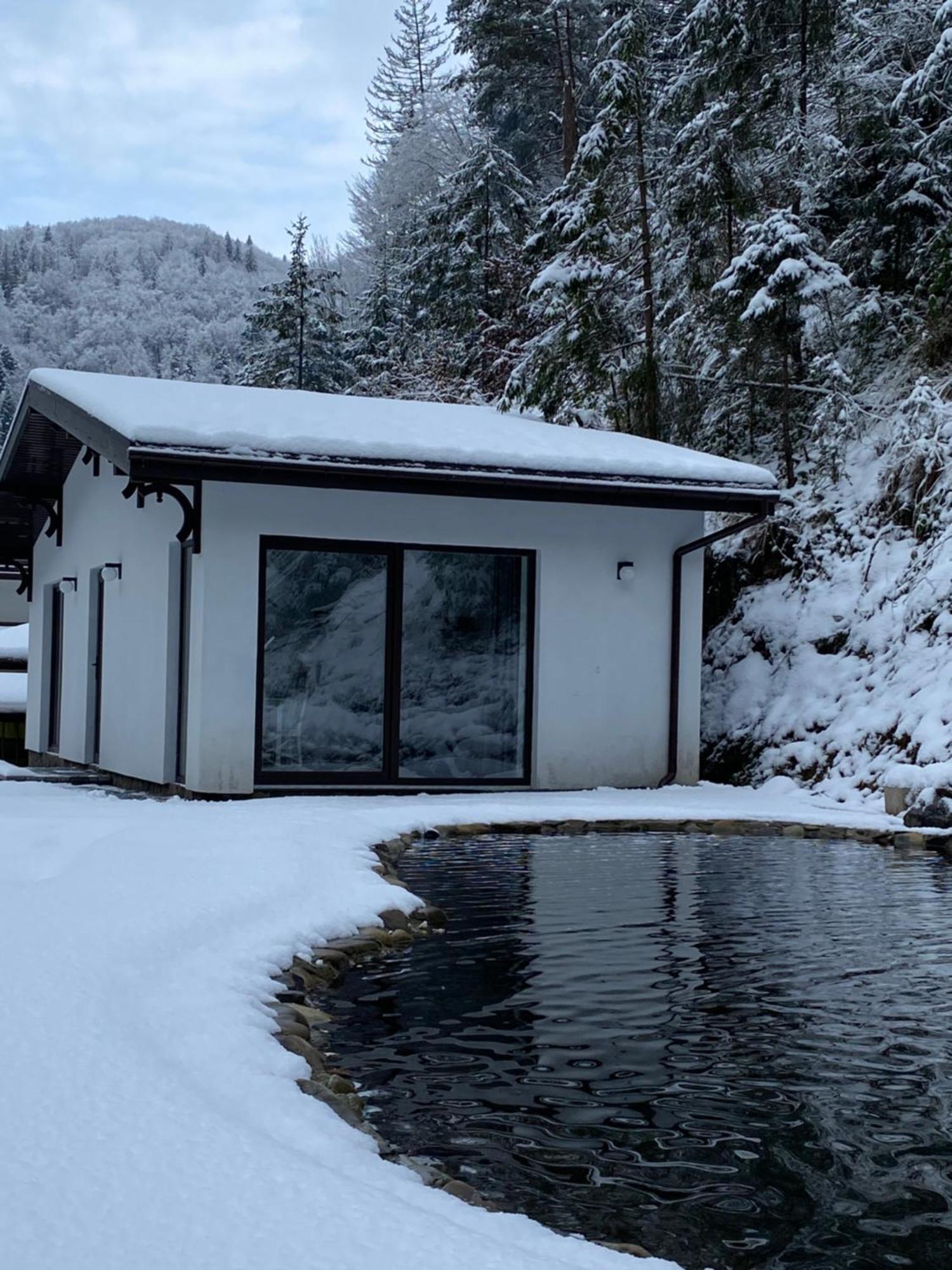 Cottage house Mizhhirya  Buitenkant foto