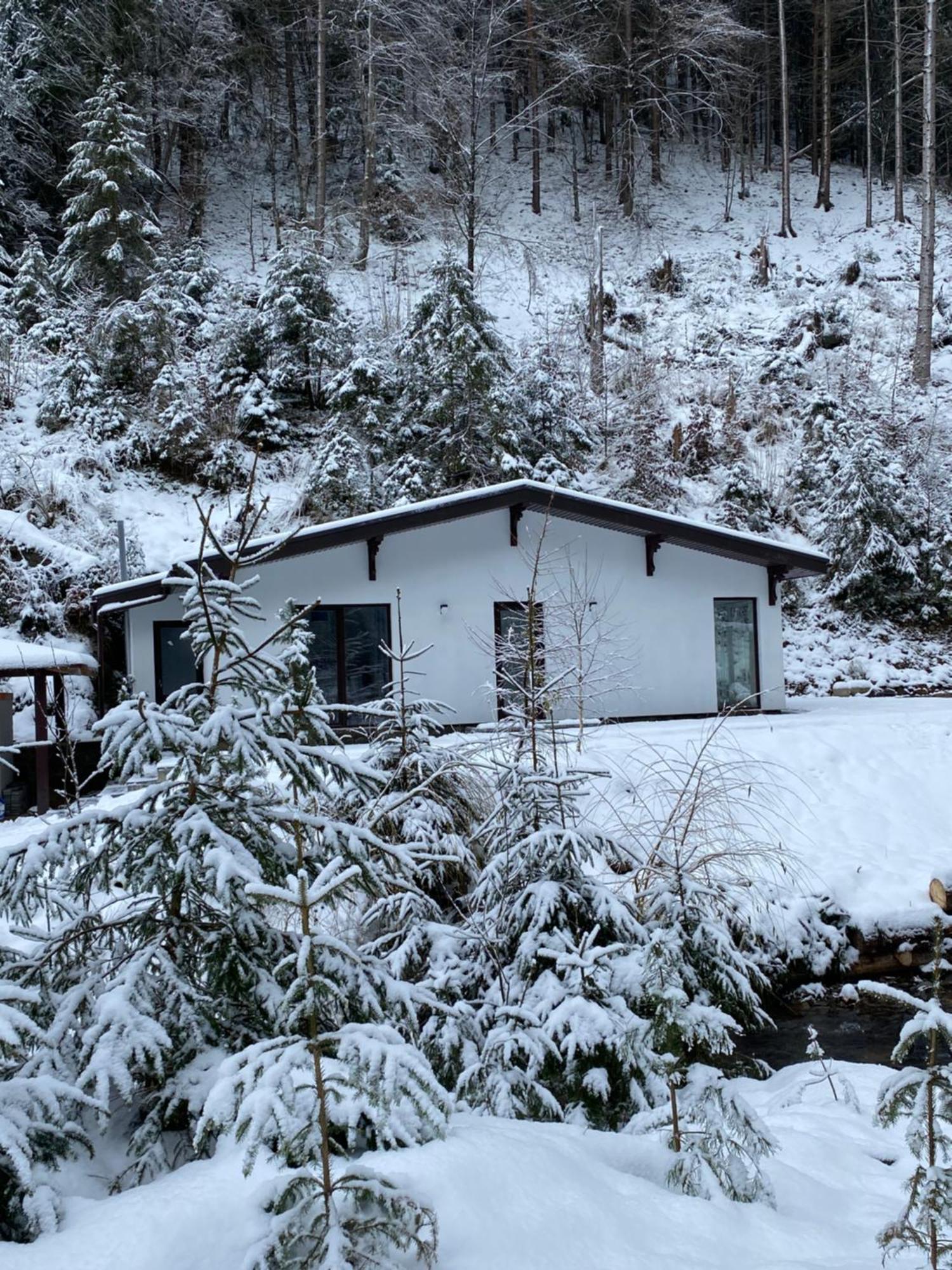 Cottage house Mizhhirya  Buitenkant foto