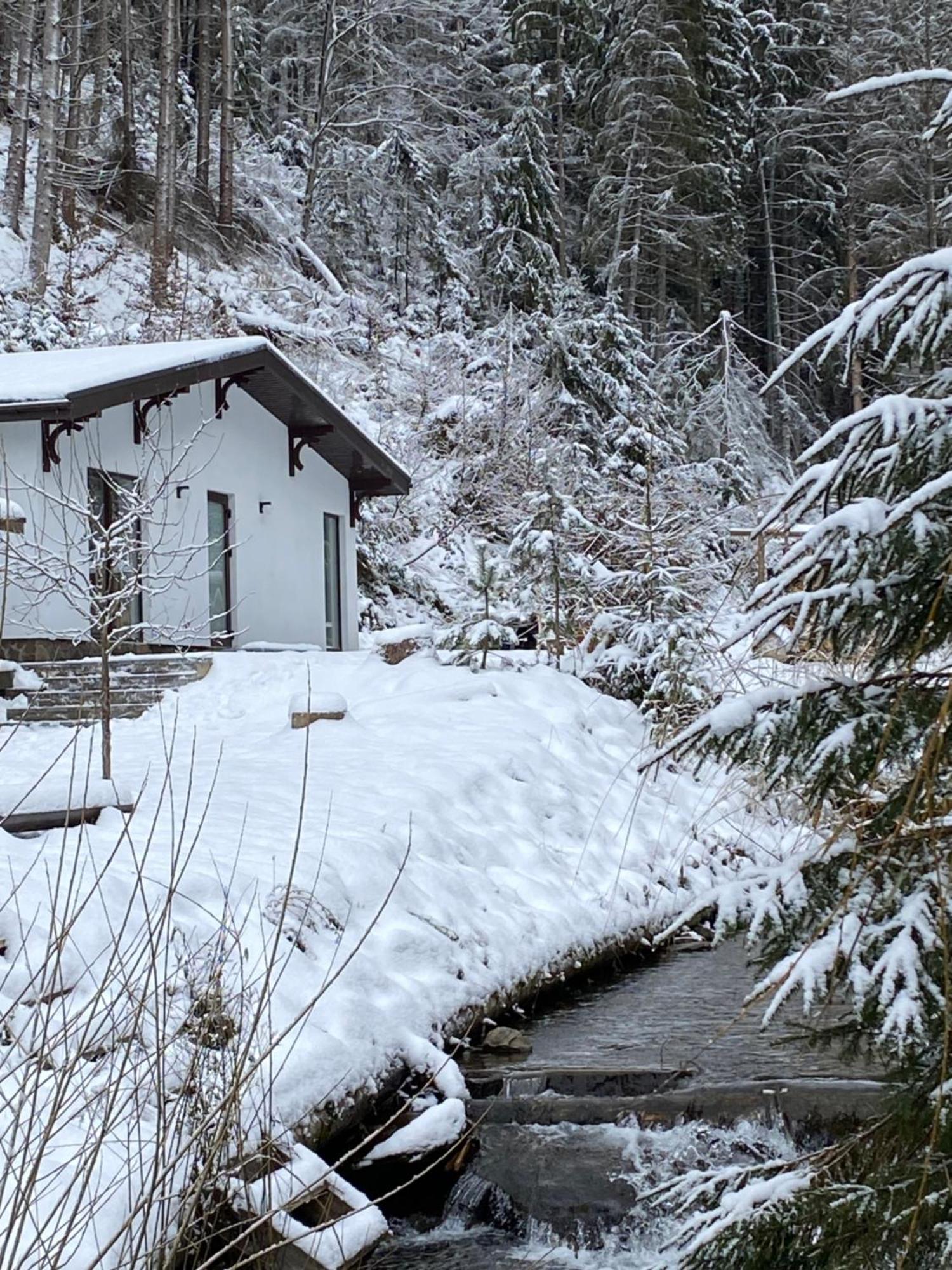 Cottage house Mizhhirya  Buitenkant foto